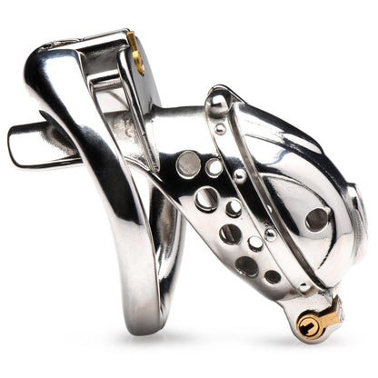 Stainless steel Deluxe Locking Chastity Cage with customizable ball rings and caps, ideal for extended chastity play. Keywords: deluxe chastity cage, stainless steel chastity cage, locking chastity device, BDSM chastity play, adjustable chastity cage, metal chastity cage, nickel-free chastity cage, cum-thru chastity cap, durable BDSM gear, long-term chastity device, secure locking chastity cage, male chastity cage, Master series chastity cage.