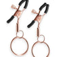 Bound Nipple Clamps C2