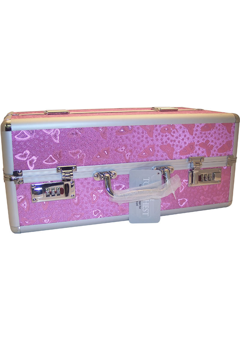 Lockable Vibrator Case