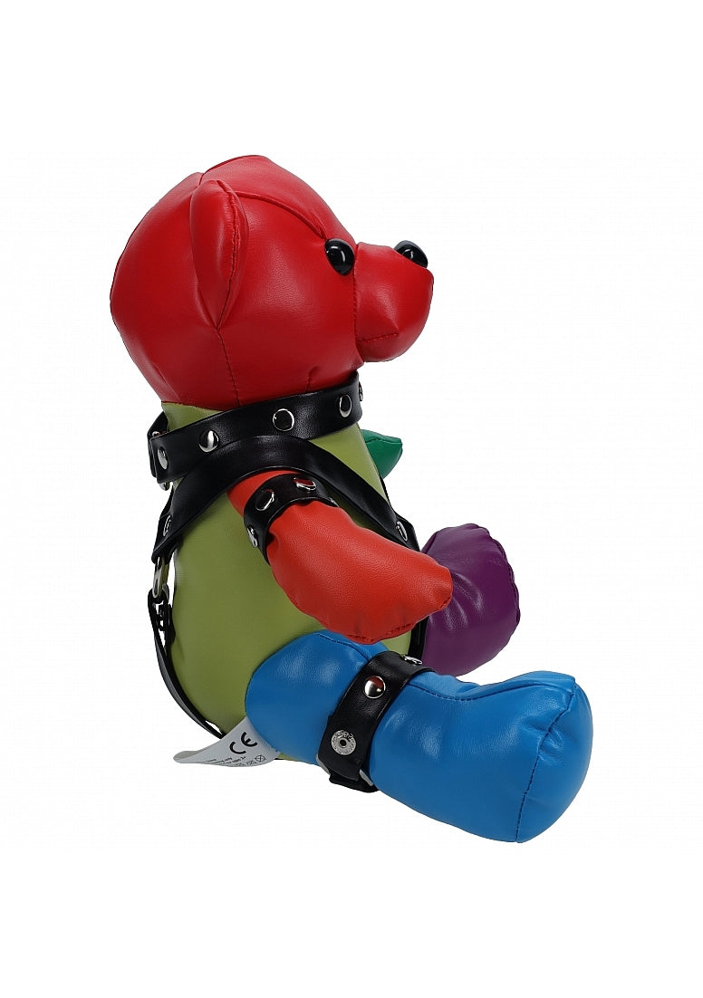 S-Line Rainbow BDSM Bear with Bondage Harness ♥ Shots!