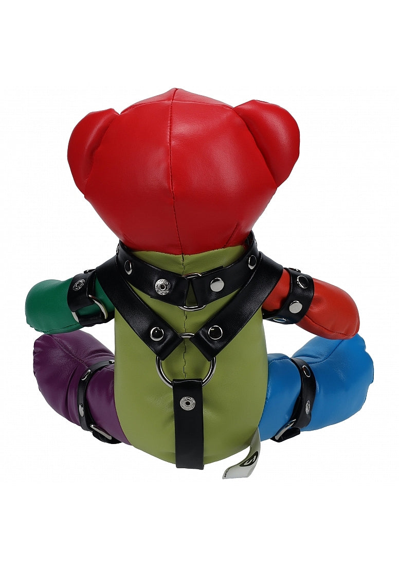 S-Line Rainbow BDSM Bear with Bondage Harness ♥ Shots!