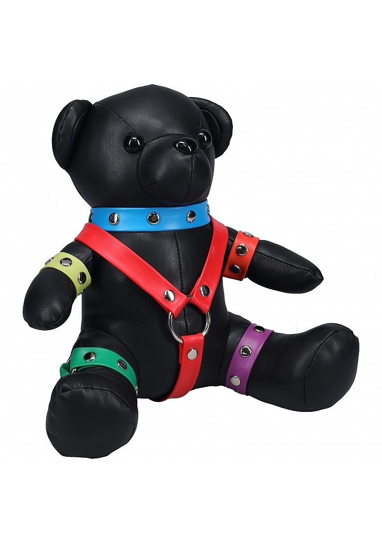 S-Line BDSM Bondage Teddy Bear with Rainbow Harness ♥ Shots!